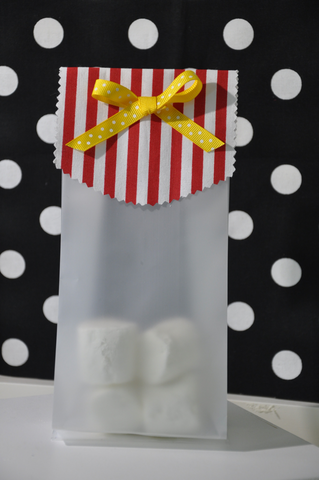 Stripe Red and White Treat Bag