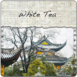 China White Pekoe Tea